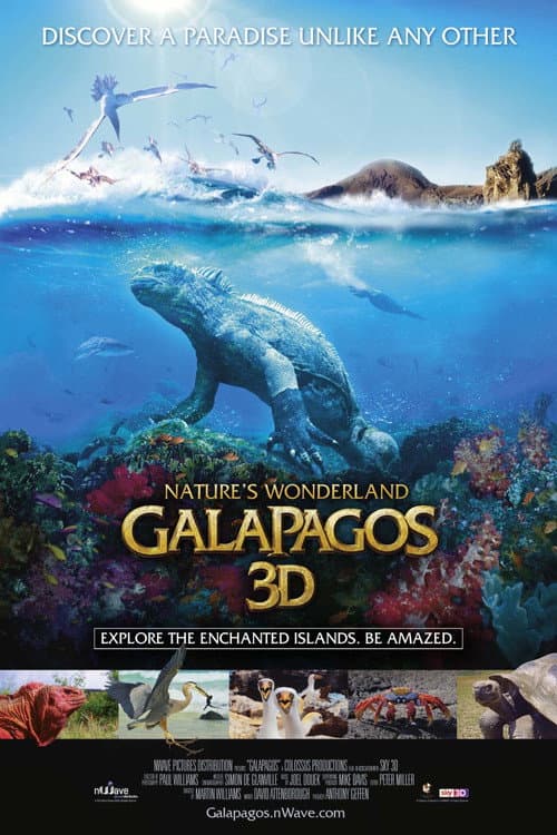 Poster for Galapagos 3D: Nature's Wonderland