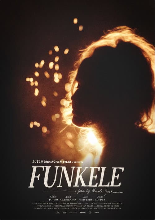 Poster for Funkele