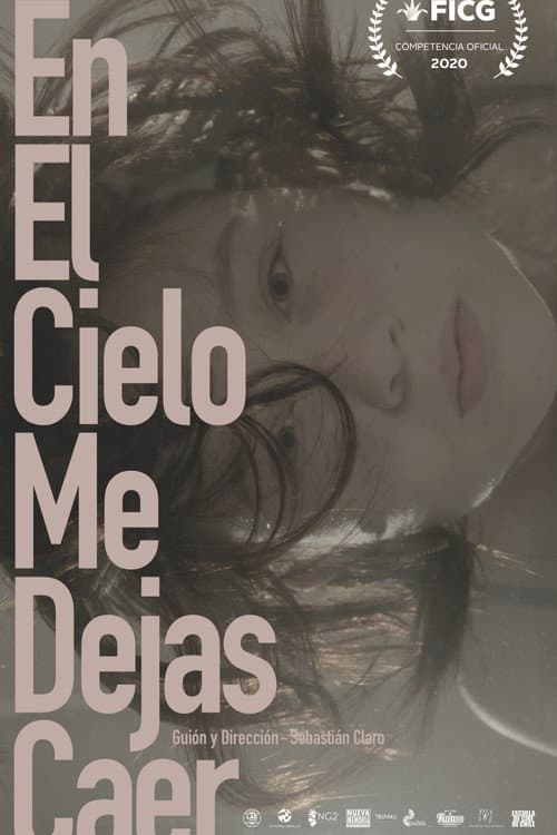 Poster for In the Sky You Let Me Fall