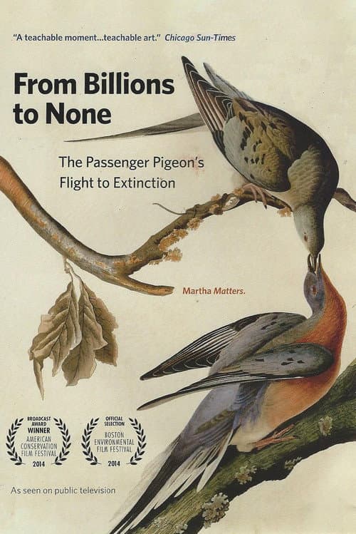 Poster for From Billions to None: The Passenger Pigeon's Flight to Extinction
