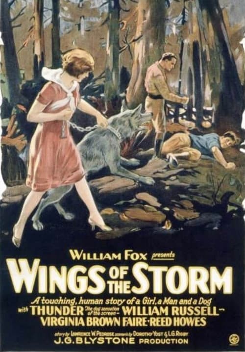 Poster for Wings of the Storm