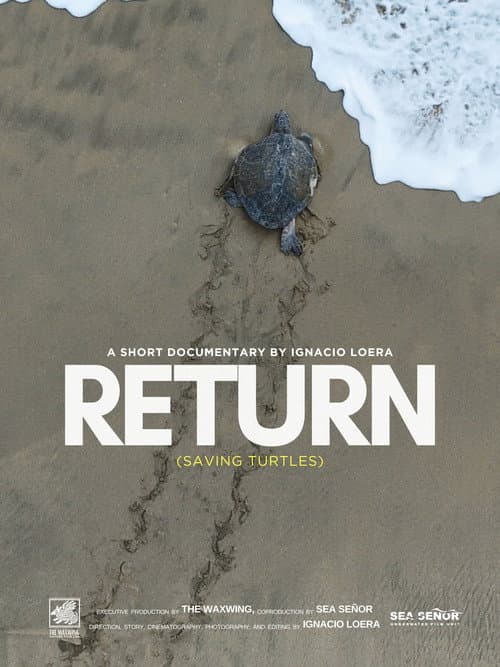 Poster for Return: Saving Turtles