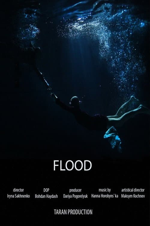 Poster for Flood