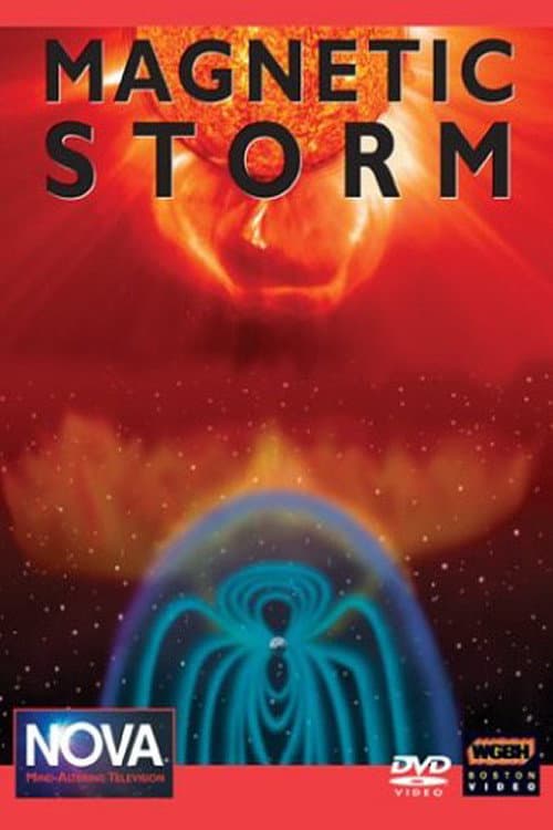 Poster for Magnetic Storm