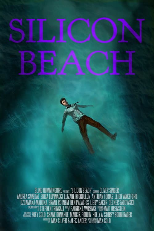 Poster for Silicon Beach