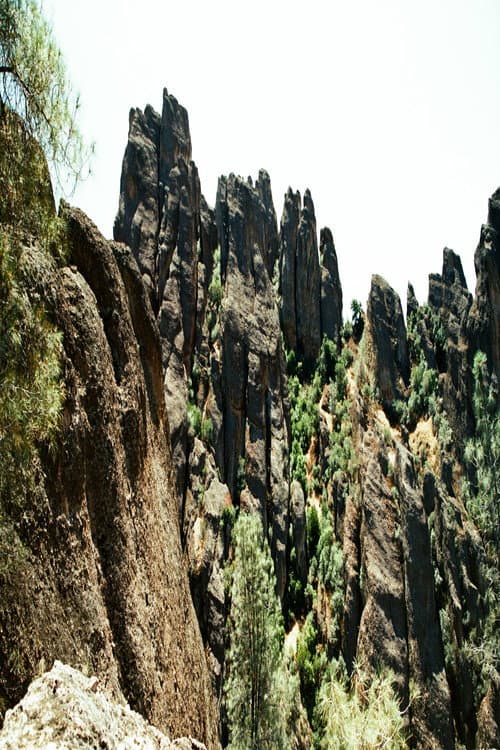 Poster for Pinnacles