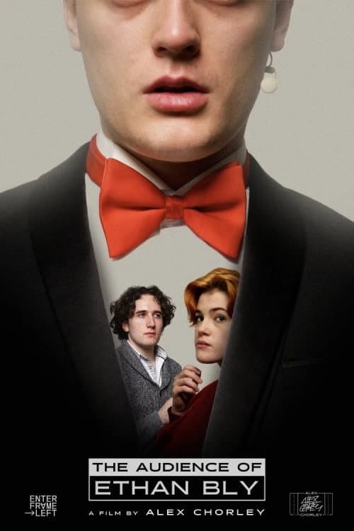Poster for The Audience Of Ethan Bly