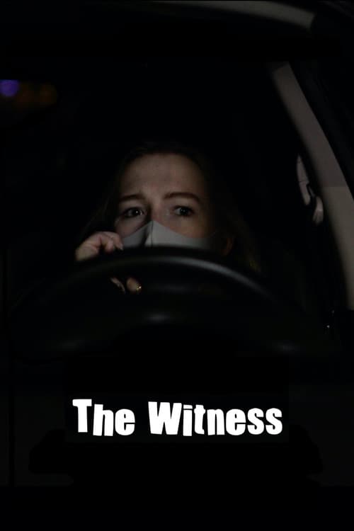 Poster for The Witness
