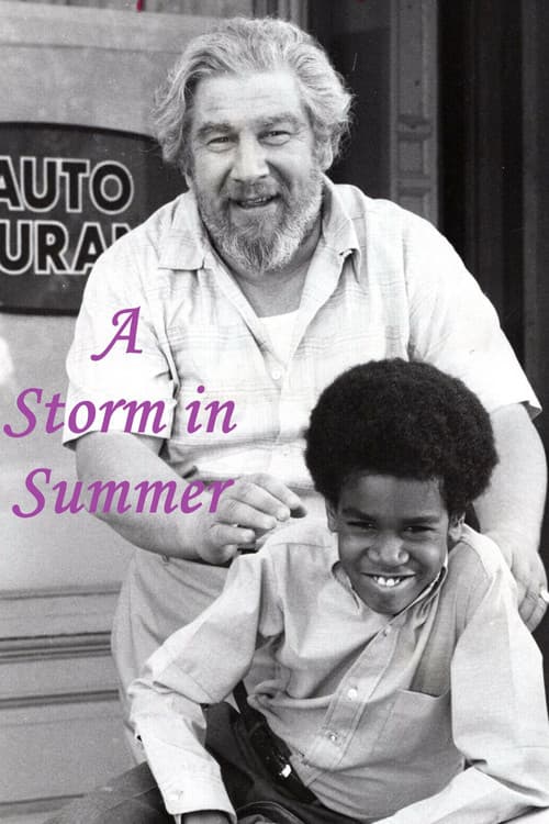 Poster for A Storm in Summer
