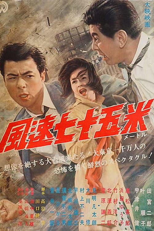 Poster for Typhoon Reporter