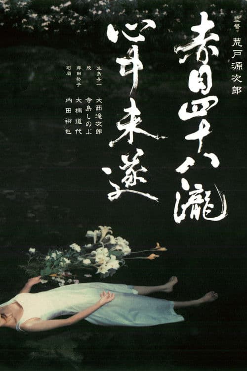 Poster for Akame 48 Waterfalls