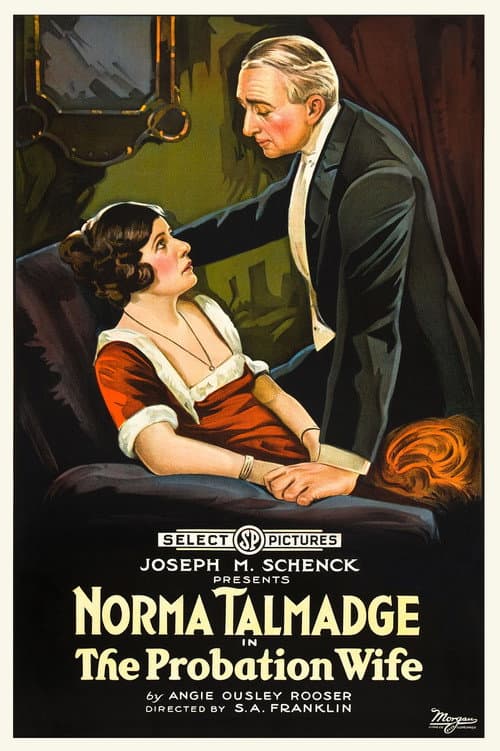 Poster for The Probation Wife