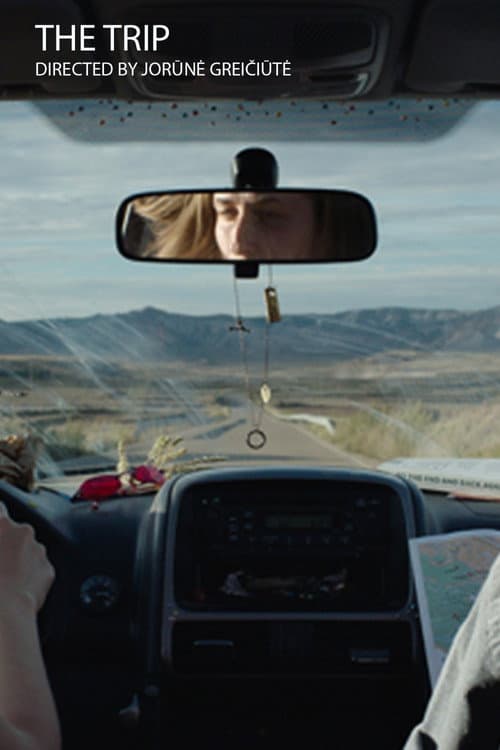 Poster for The Trip
