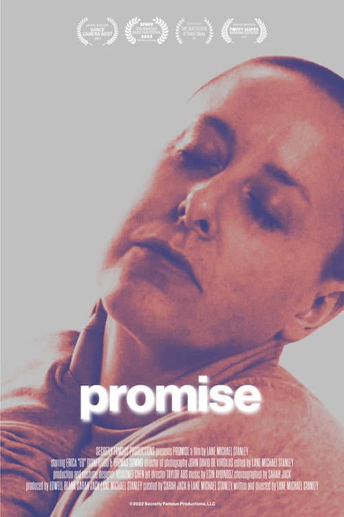 Poster for Promise