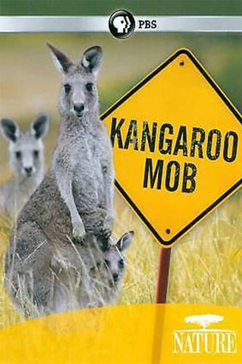 Poster for Kangaroo Mob