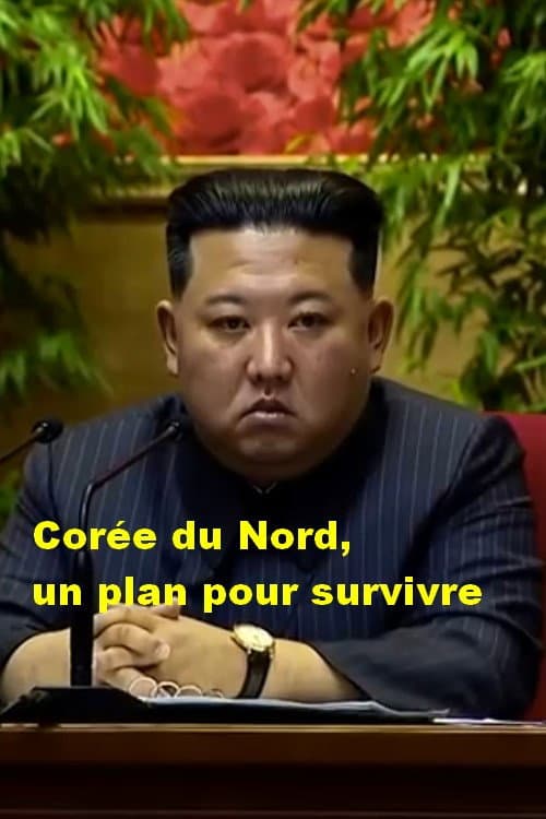 Poster for Corée du Nord, un plan pour survivre