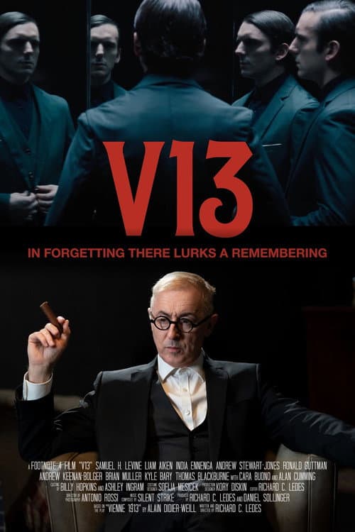 Poster for V13