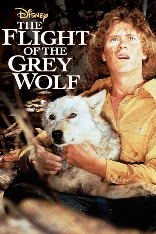 Poster for The Flight of the Grey Wolf