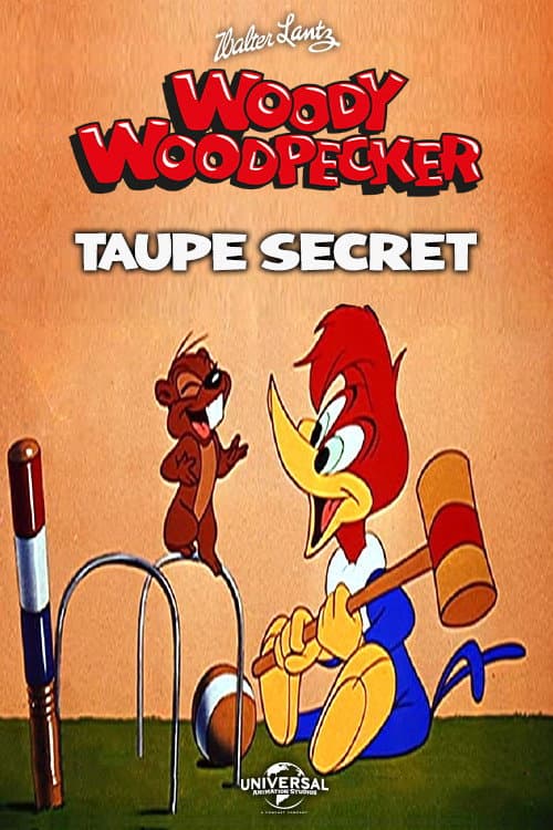 Poster for Wicket Wacky