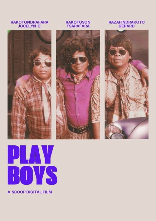 Poster for Play Boys