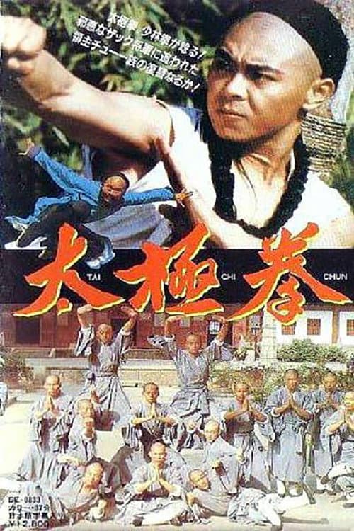 Poster for 太极拳