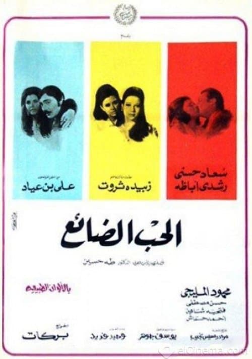Poster for The Lost Love