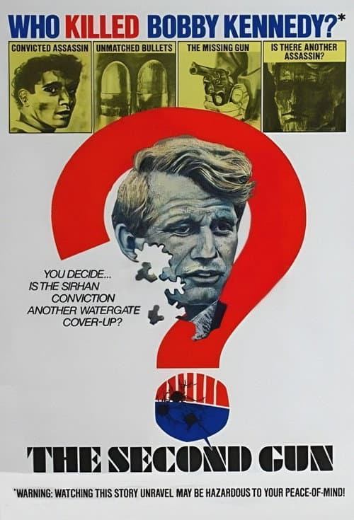 Poster for The Second Gun
