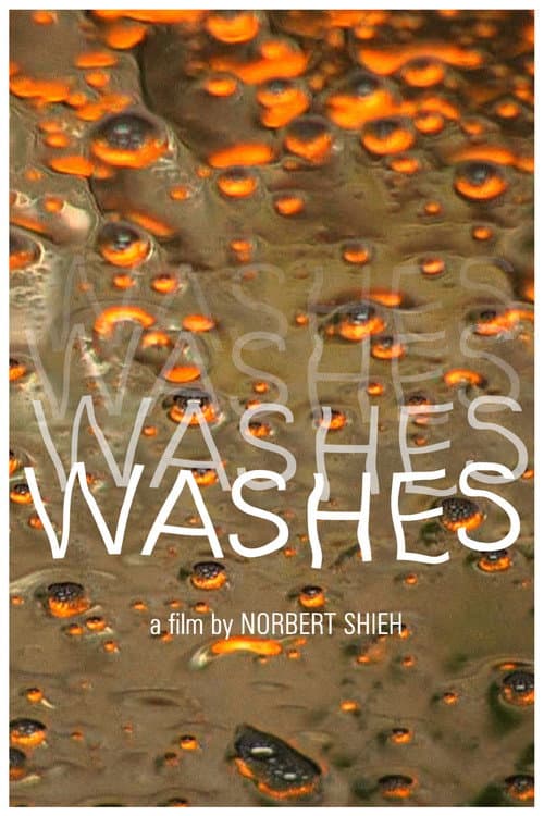 Poster for Washes