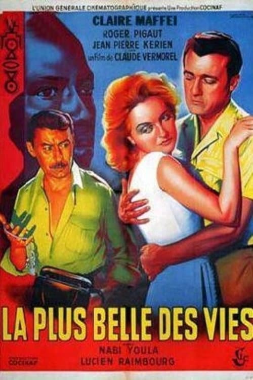 Poster for The Most Beautiful Life