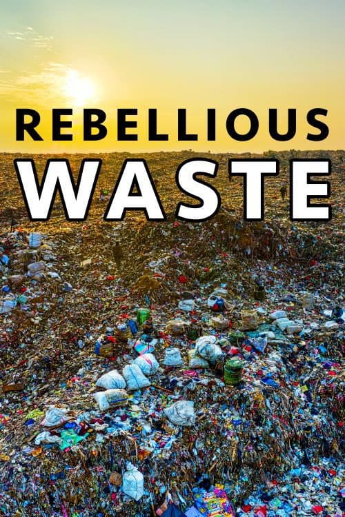 Poster for Rebellious Waste