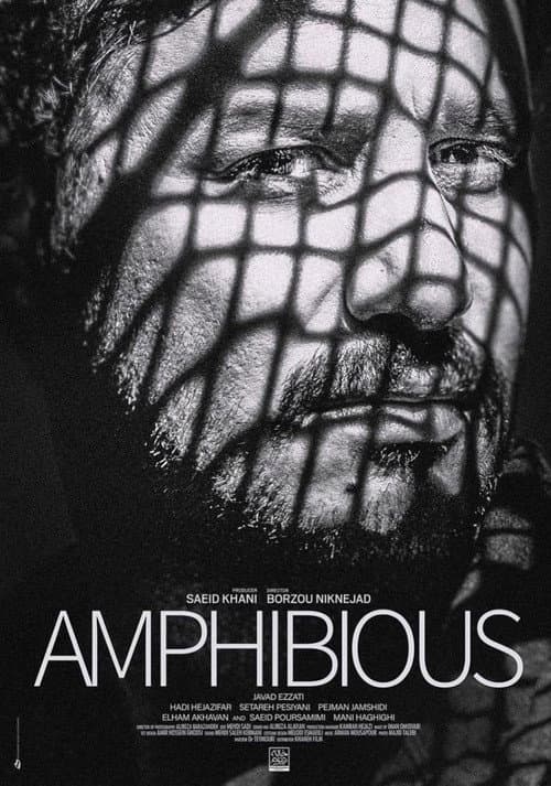 Poster for Amphibious