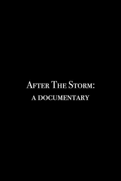 Poster for After the Storm: A Documentary