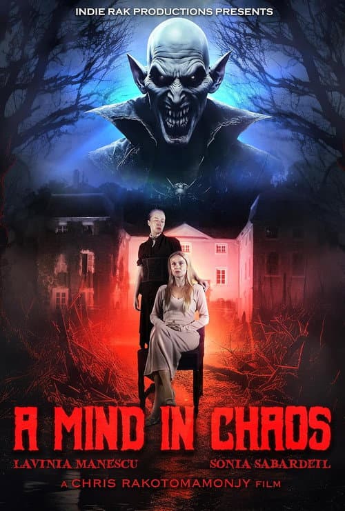Poster for A Mind in Chaos
