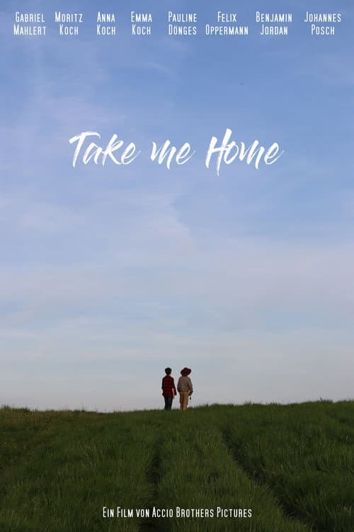 Poster for Take me Home