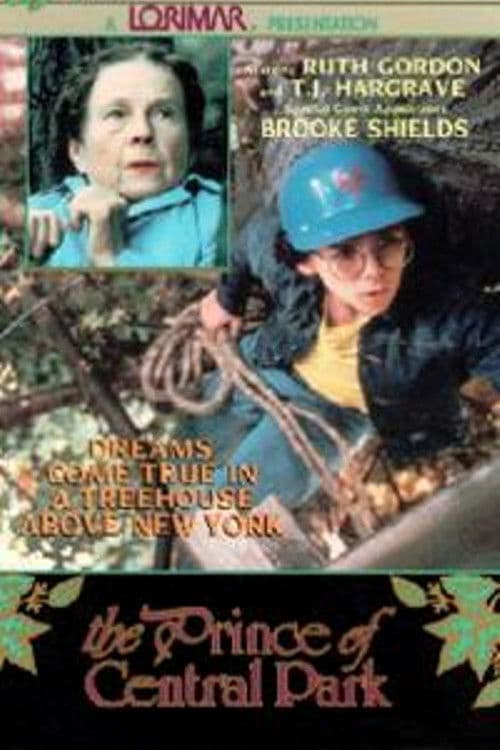Poster for The Prince of Central Park