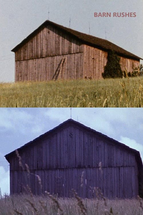 Poster for Barn Rushes