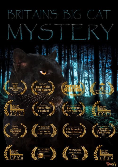 Poster for Britain's Big Cat Mystery