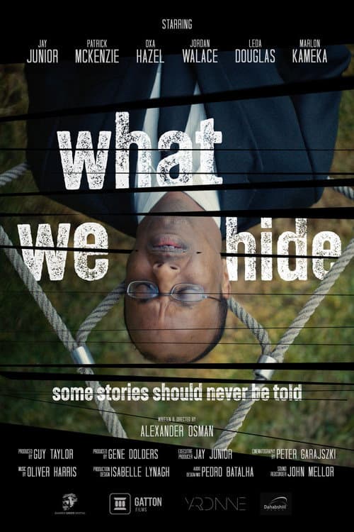Poster for What We Hide