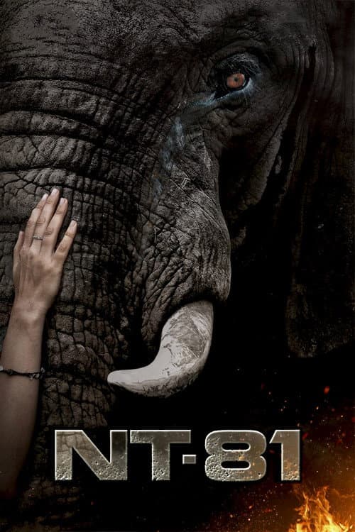 Poster for NT81