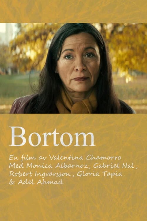 Poster for Distances
