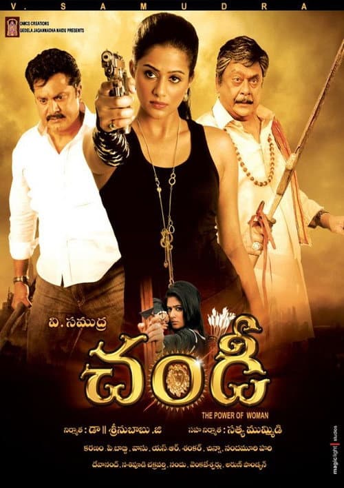 Poster for Chandi: The Power of Woman