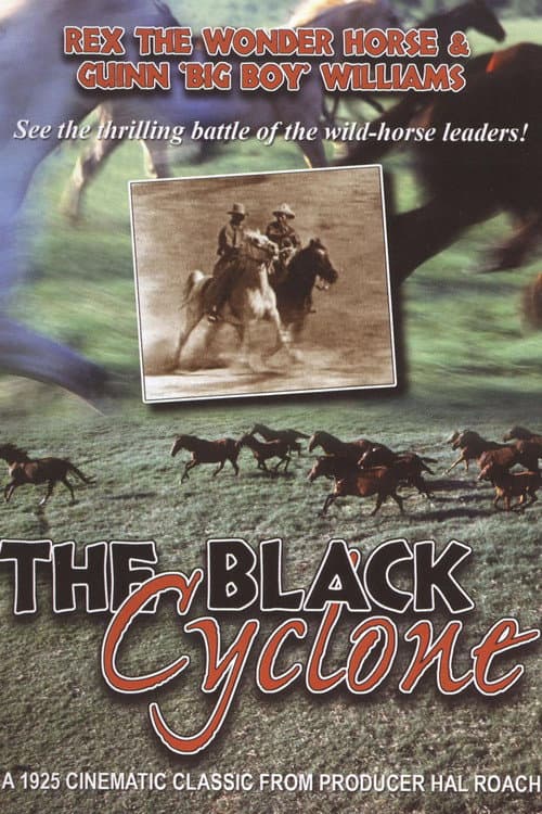 Poster for The Black Cyclone