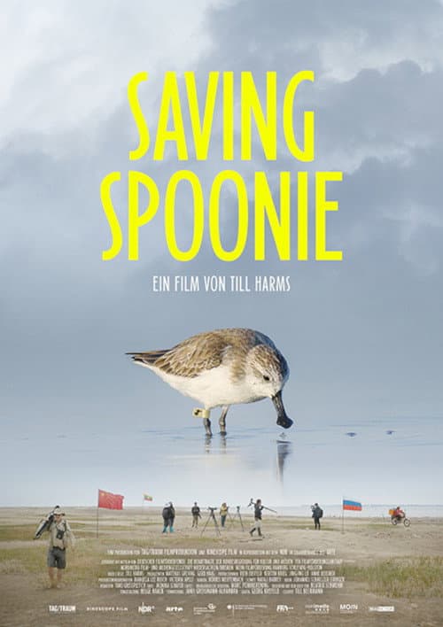 Poster for Saving Spoonie