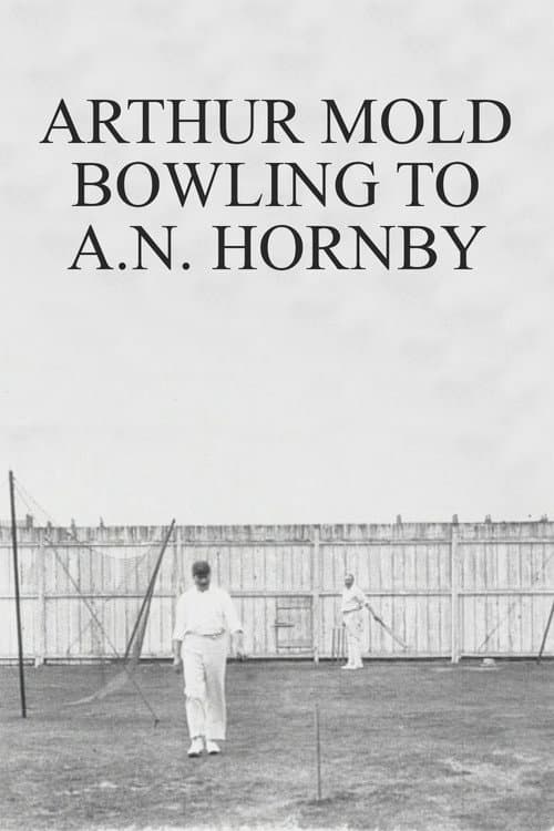 Poster for Arthur Mold Bowling to A.N. Hornby