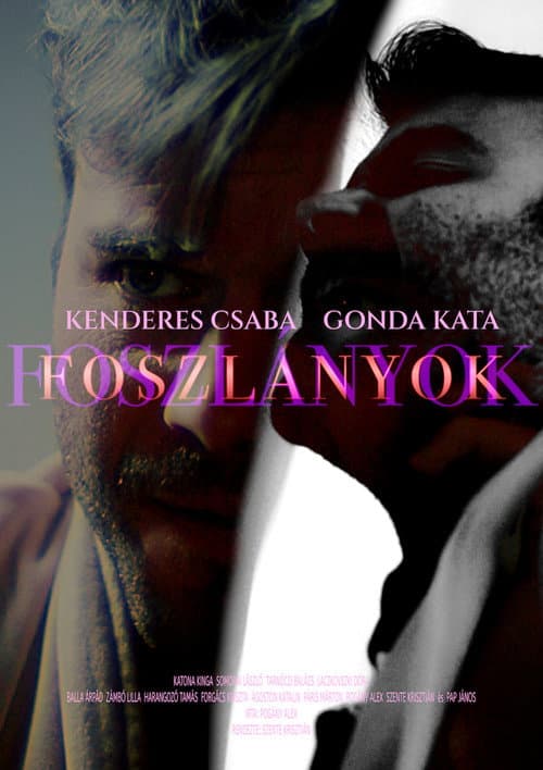 Poster for FOSZLÁNYOK