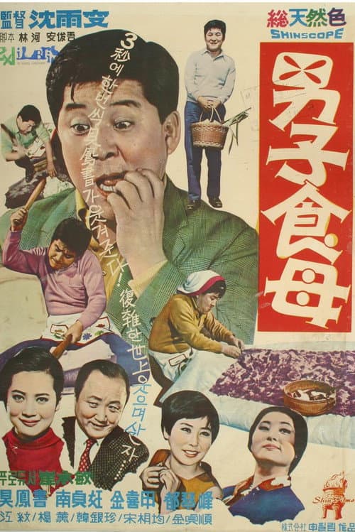 Poster for A Male Housekeeper