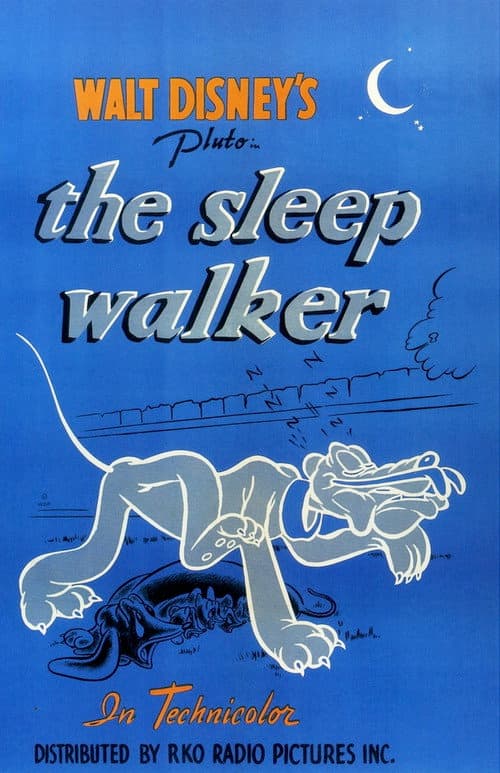Poster for The Sleepwalker
