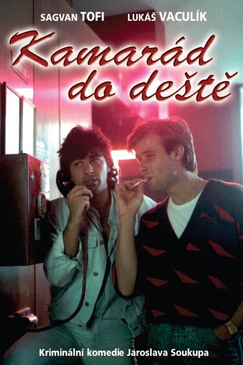 Poster for Kamarád do deště