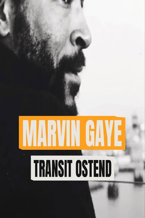 Poster for Marvin Gaye: Transit Ostende