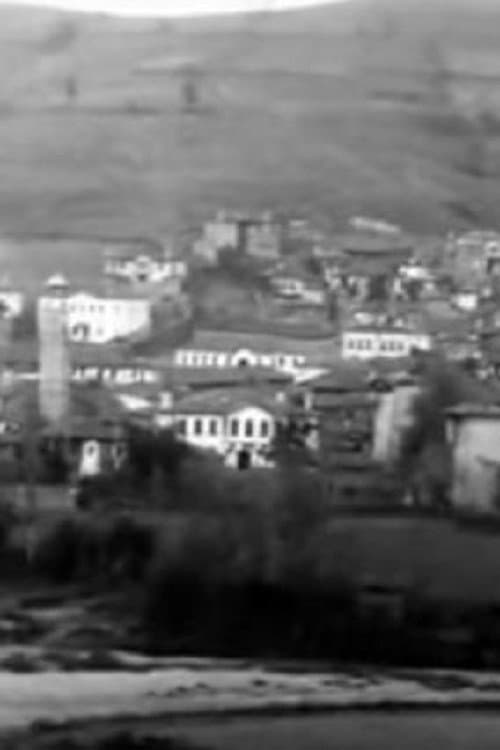 Постер до фільму «Panorama of the City of Grevena»